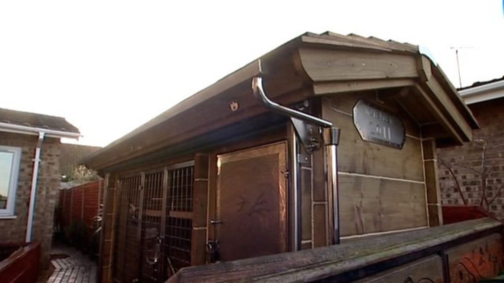 Norfolk rabbit owner builds luxury hutch BBC News