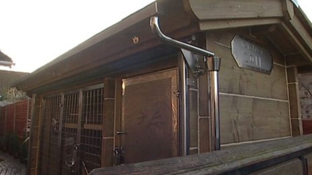 Norfolk rabbit owner builds luxury hutch BBC News