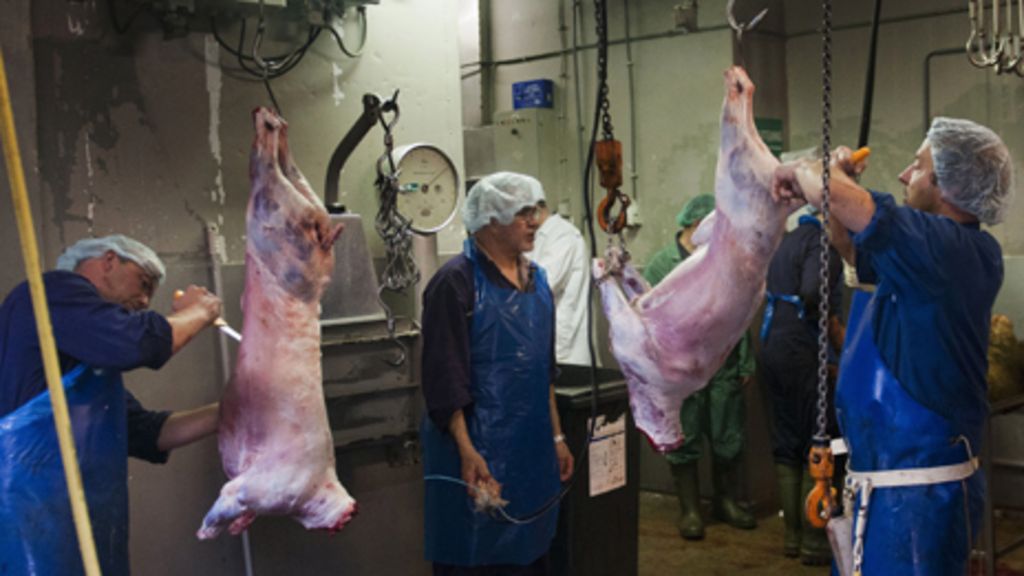 leading-vet-criticises-ritual-slaughter-of-animals-bbc-news