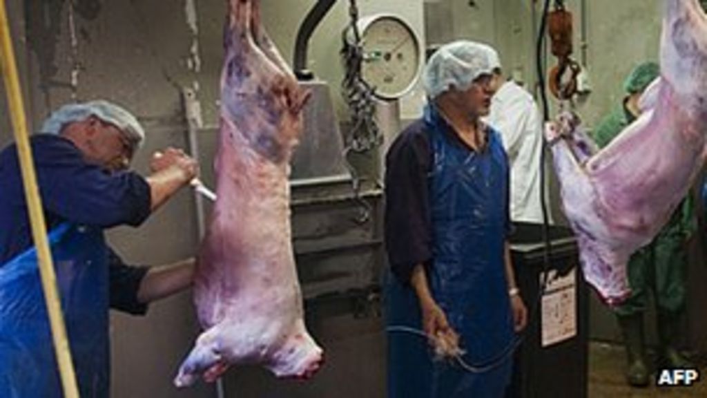 Leading vet criticises ritual slaughter of animals BBC News