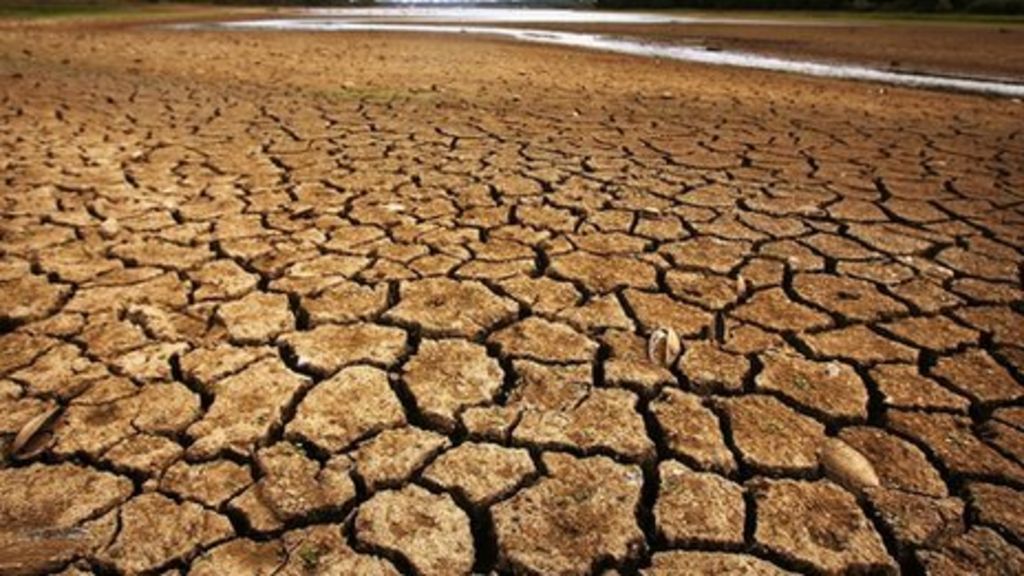 Drought: No approaches over Welsh water supply - BBC News