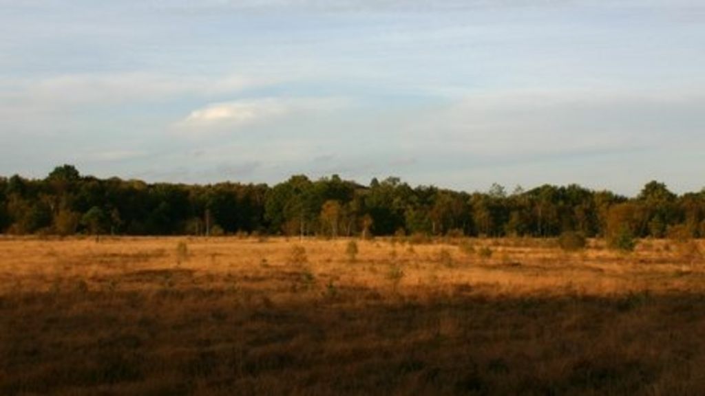 Surrey green belt land earmarked for housing BBC News