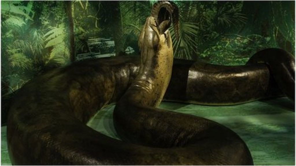 the-giant-snake-that-stalked-the-earth-bbc-news