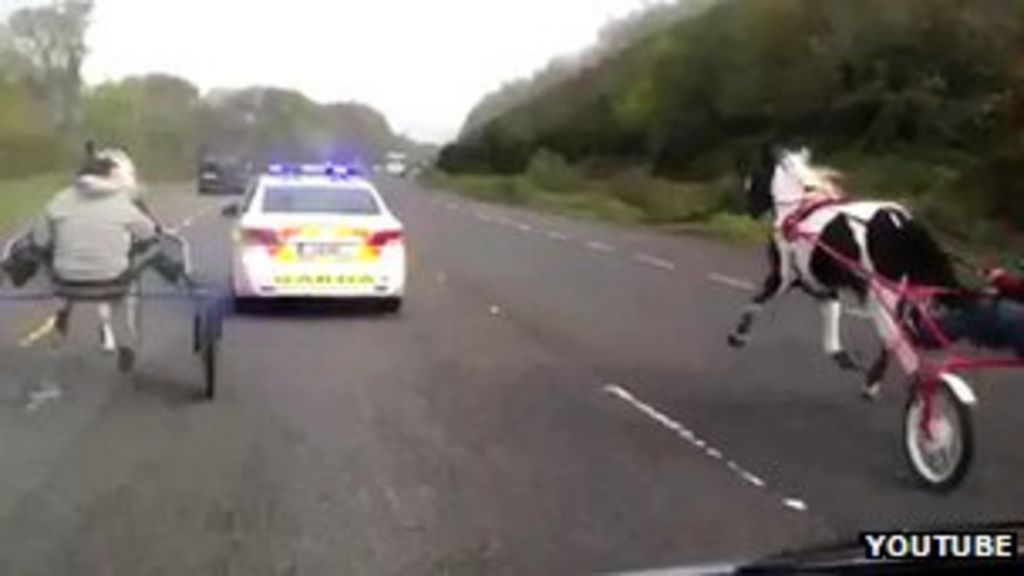 Police investigate illegal horse race in County Cork BBC News