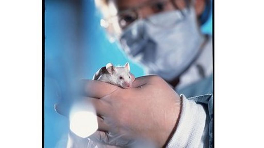 Government Retains UK s Strict Animal Testing Regime BBC News