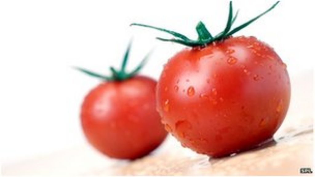 Genome promises tastier tomatoes