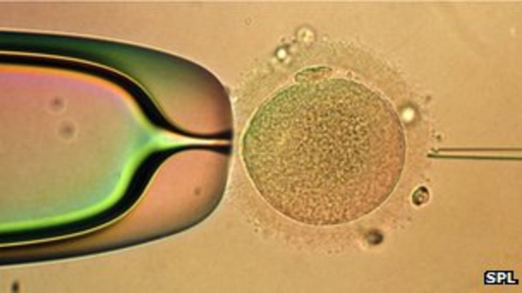 pet-on-twitter-children-born-from-ivf-using-frozen-embryos-may-have-a