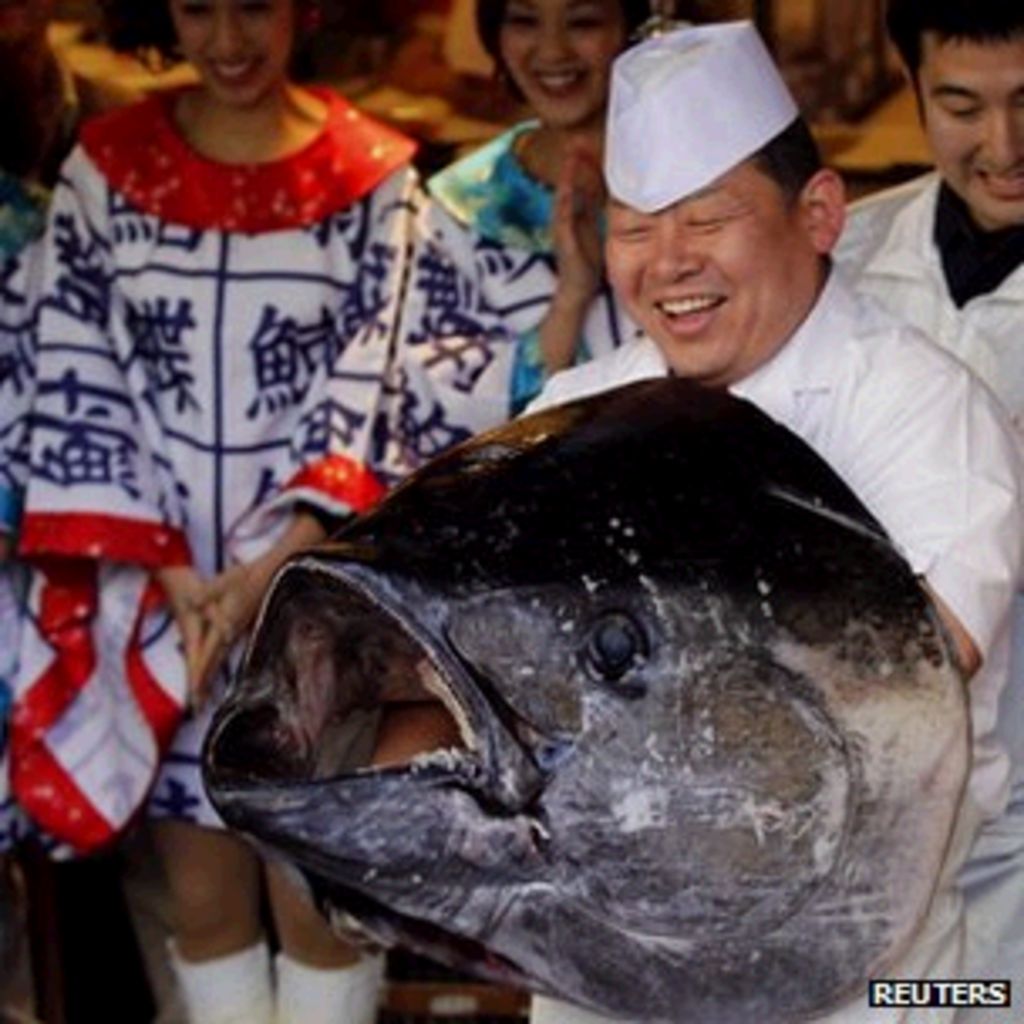 Shortages Fish On The Slide BBC News