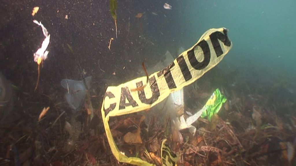 The rubbish dump under Sydney Harbour BBC News