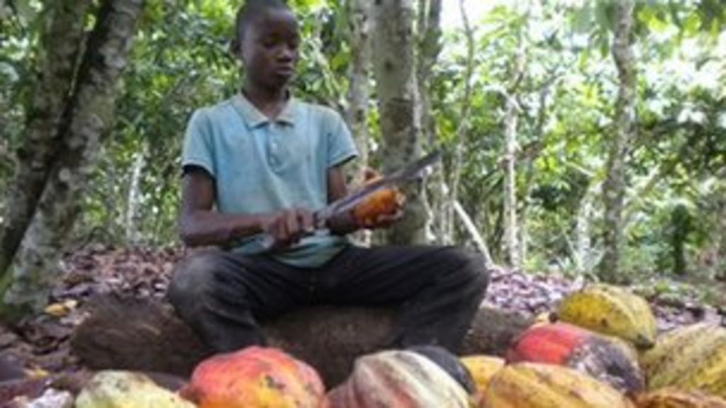 Nestle 'failing' on child labour abuse, says FLA report ...