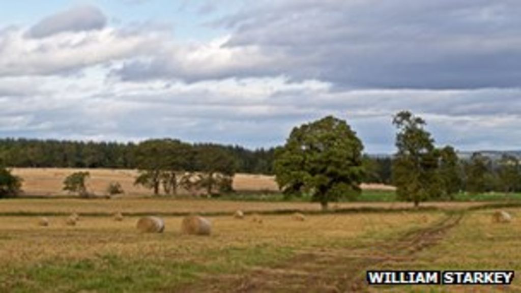 Scottish farmland values 'continuing to grow' BBC News