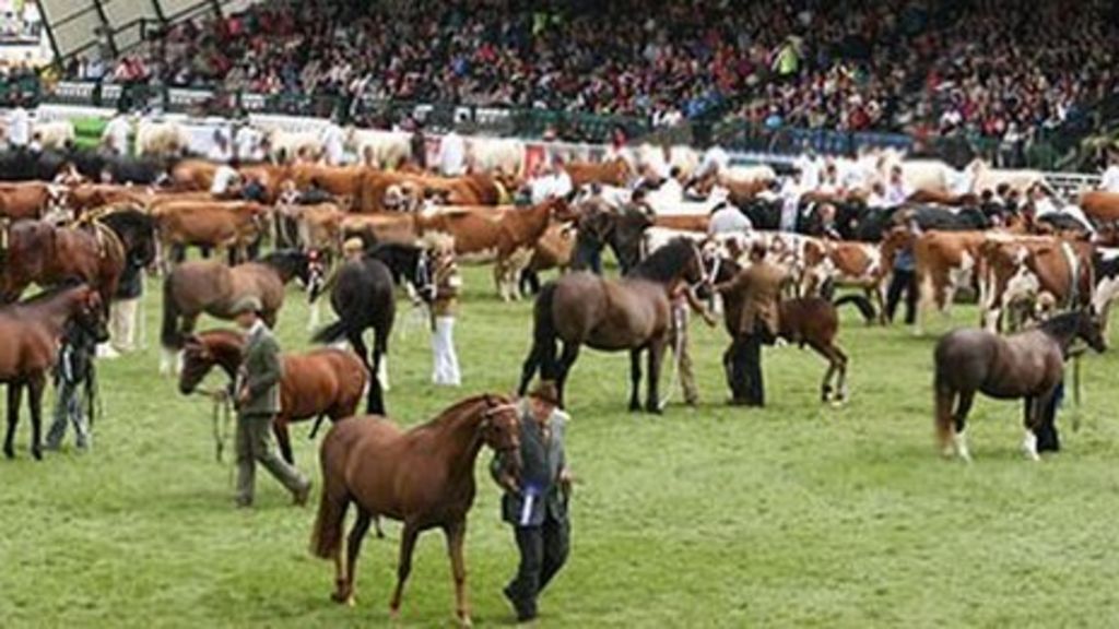 Royal Welsh Show 'one of the most successful ever' BBC News