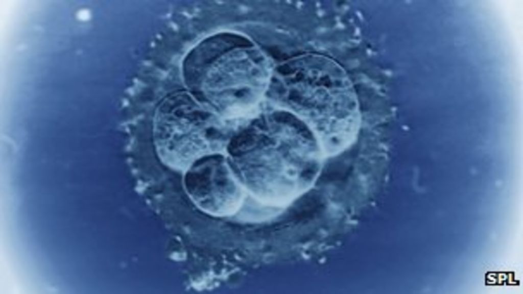 Super Fertility Offers Clue To Recurrent Miscarriage Bbc News