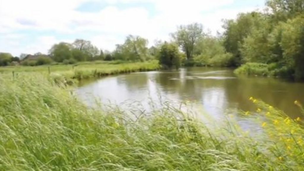 Brandy business plan 06 image