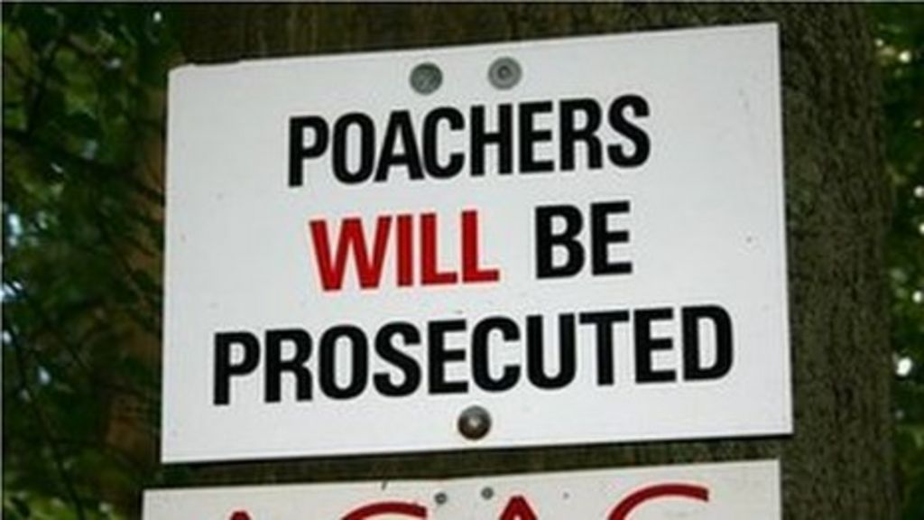 Sussex Police Modern poaching 'shady criminal world' BBC News