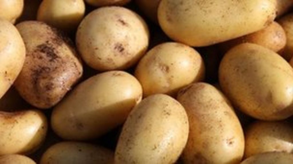 Rothamsted scientists study 170-year-old potatoes - BBC News