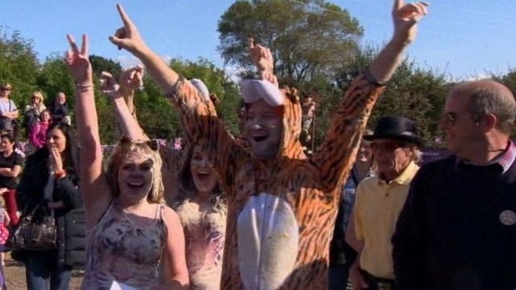 'Pie of the Tiger' wins World Custard Pie Championship BBC News