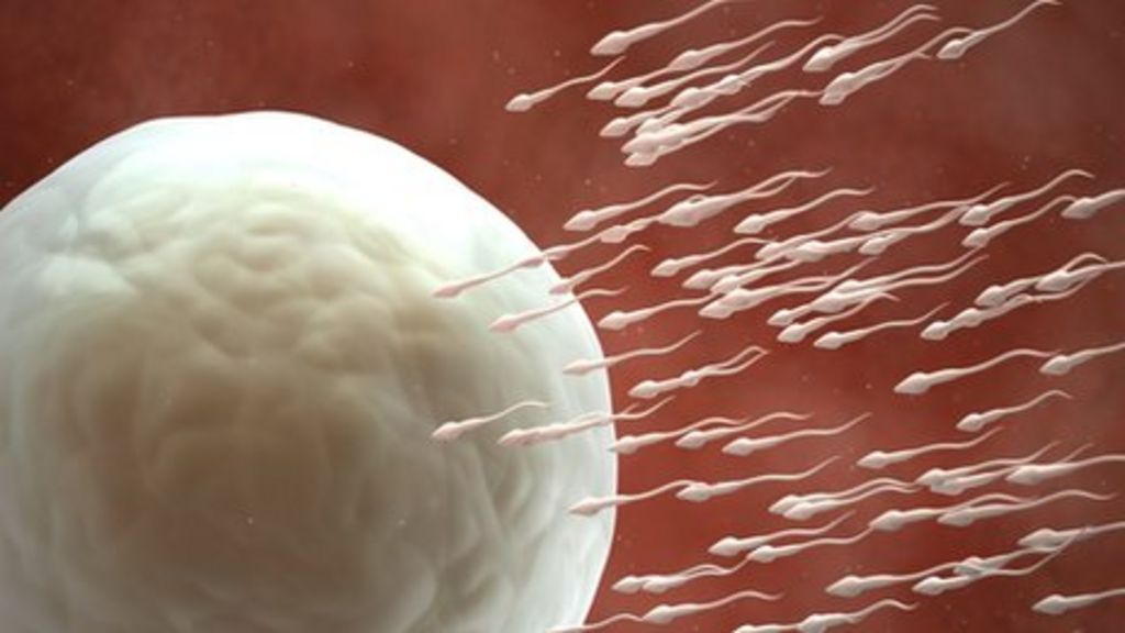 Us Scientists Aim To Make Human Sperm From Stem Cells Bbc News 7043