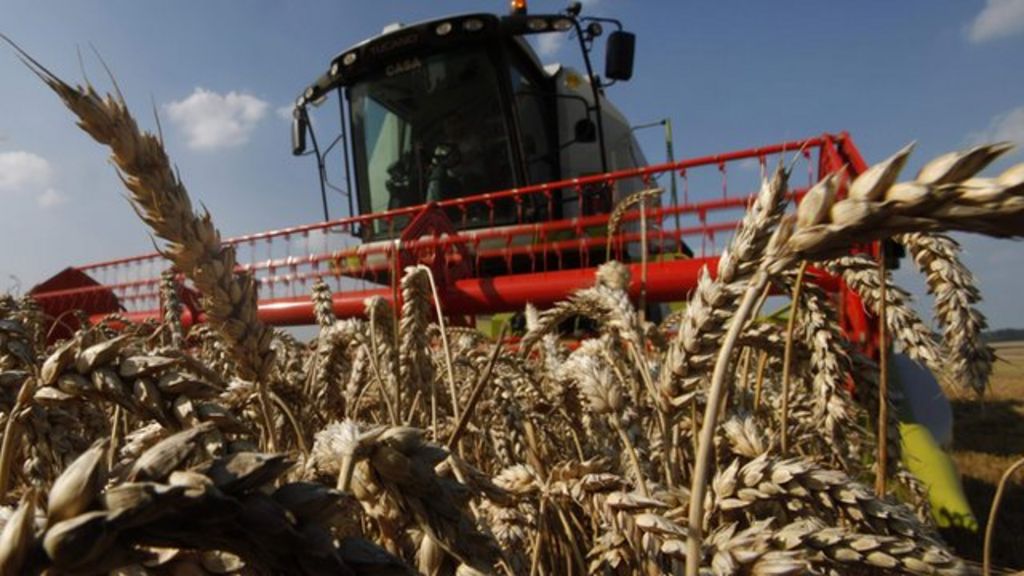 Consumers Facing Higher Food Bills After A Poor Harvest Bbc News 