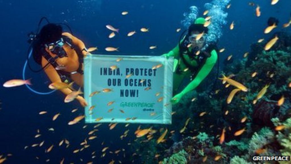 Underwater dive to demand India protect the oceans - BBC News