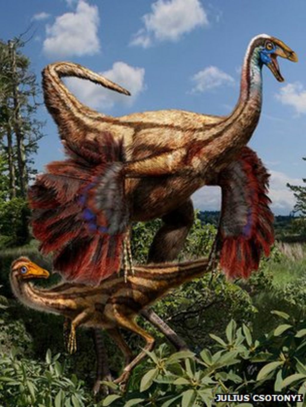 flying dinosaur with feathers