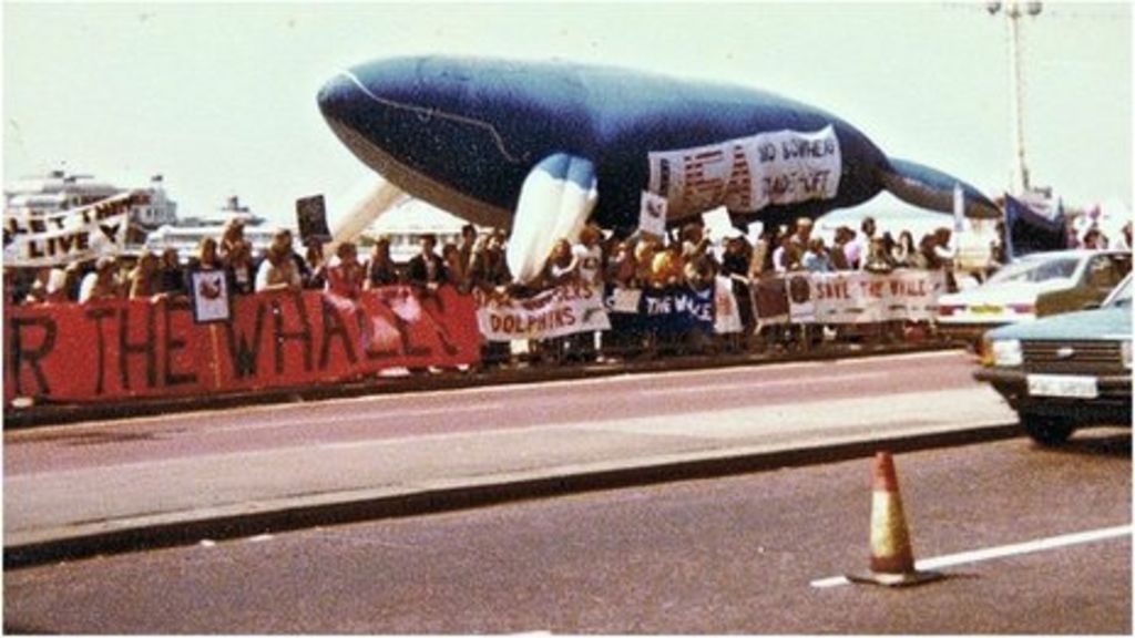 should the international ban on the hunting of whales be lifted should the international ban on the hunting of whales be lifted