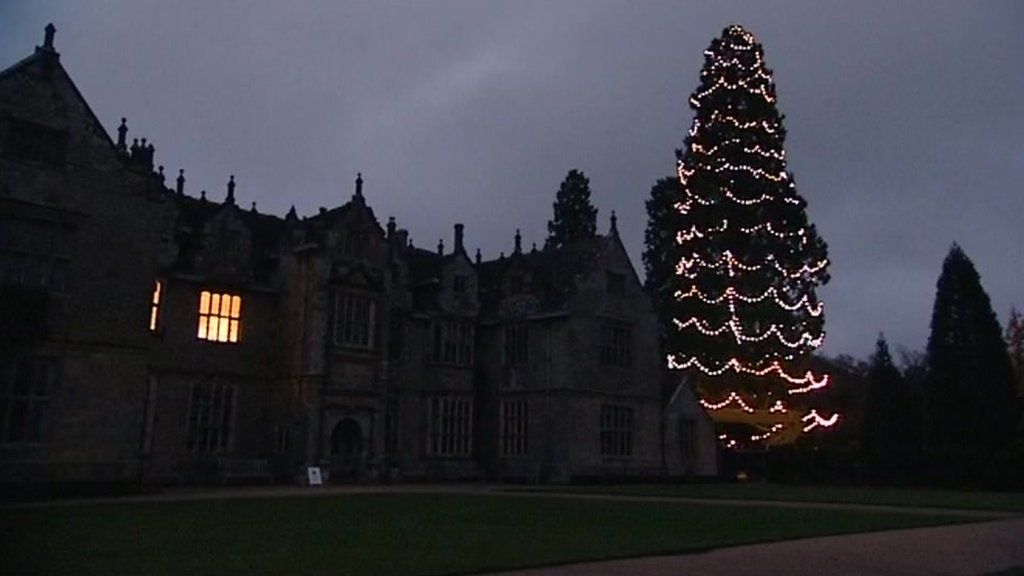 Wakehurst Place Christmas tree lights installed BBC News