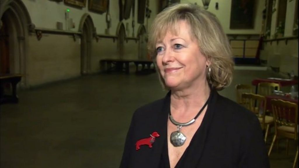Kent Pcc Election Independent Ann Barnes Elected Bbc News