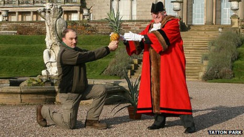 Tatton Park grows first crop of pineapples in a century BBC News