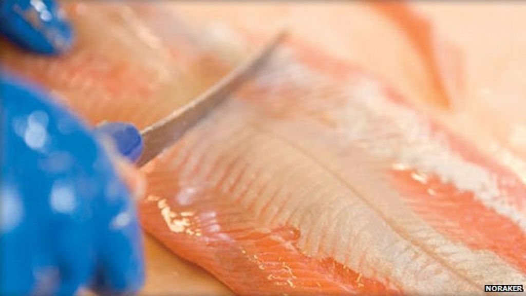 Norway's rakfisk Is this the world's smelliest fish? BBC News