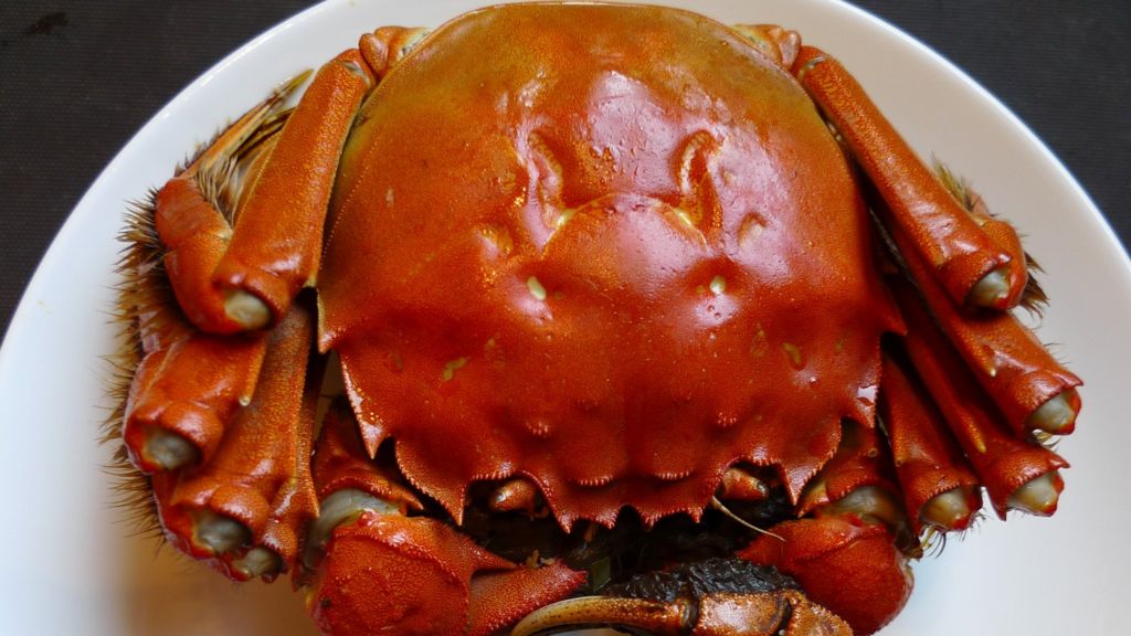 The Chinese Delicacy Of Hairy Crabs Bbc News