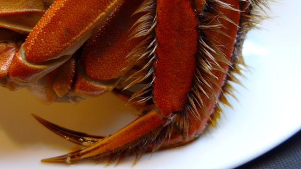 The Chinese Delicacy Of Hairy Crabs Bbc News