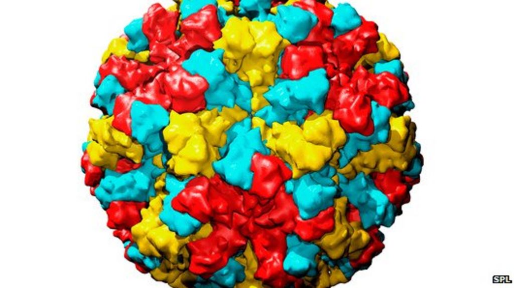 Norovirus The winter vomiting bug that is hard to conquer BBC News