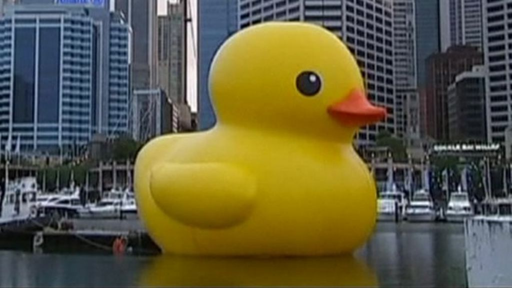 Giant Rubber Duck Takes A Swim In Sydney Harbour Bbc News 