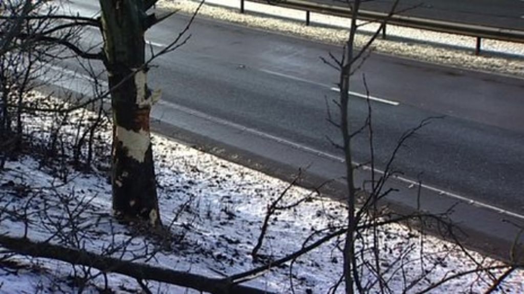 Suffolk A14 car crash caused man and boy's death BBC News