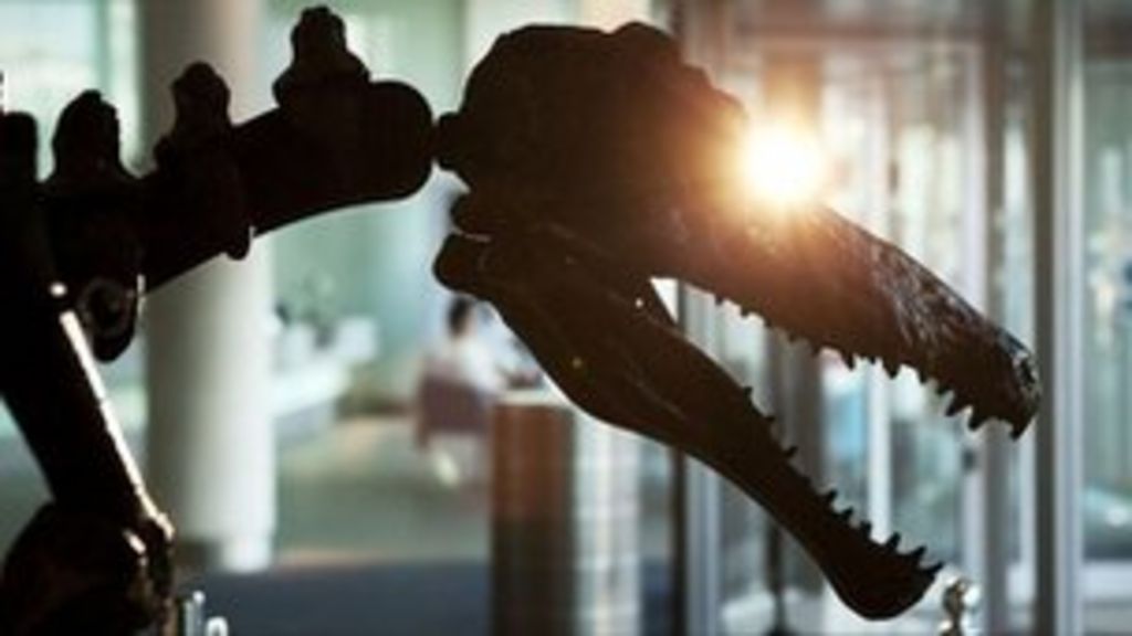 Dinosaur Extinction Scientists Estimate Most Accurate Date Bbc News 8981