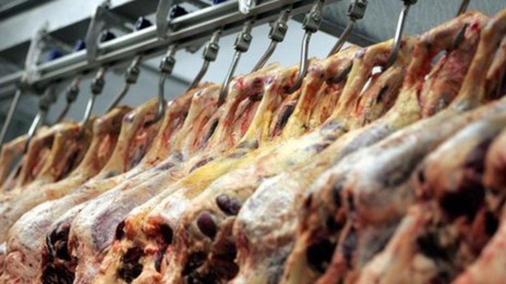 Horsemeat scandal Bute found in eight horse carcasses BBC News