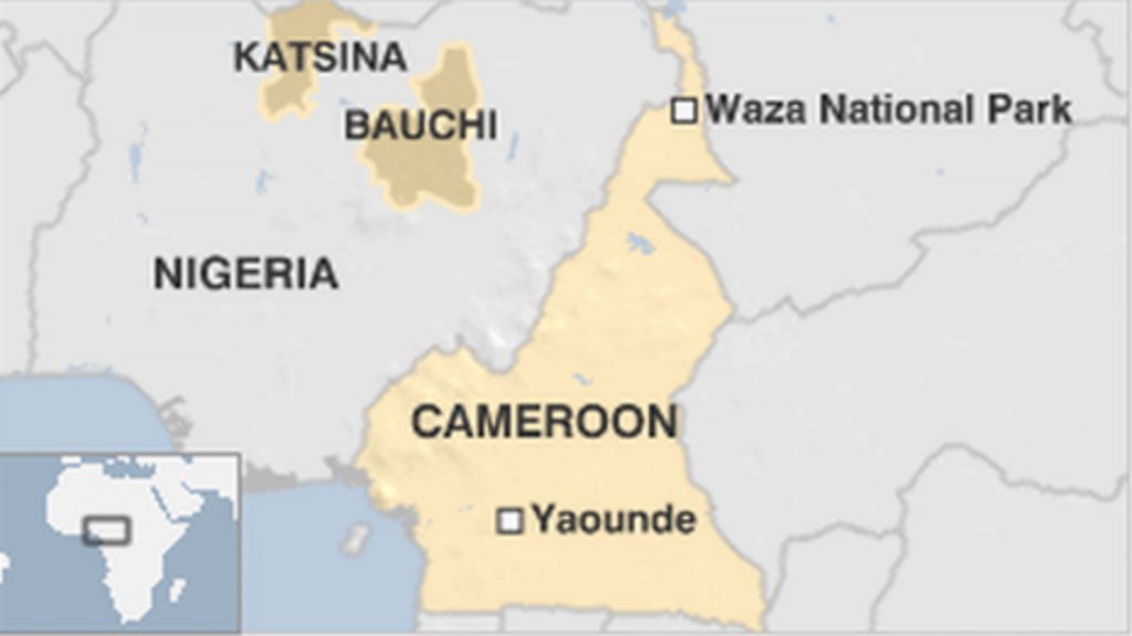  65961268 Cameroon Nigeria 022013 