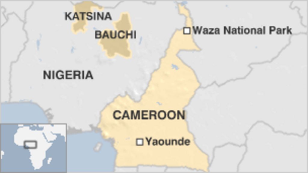 French tourists seized in Cameroon near Nigeria border - BBC News