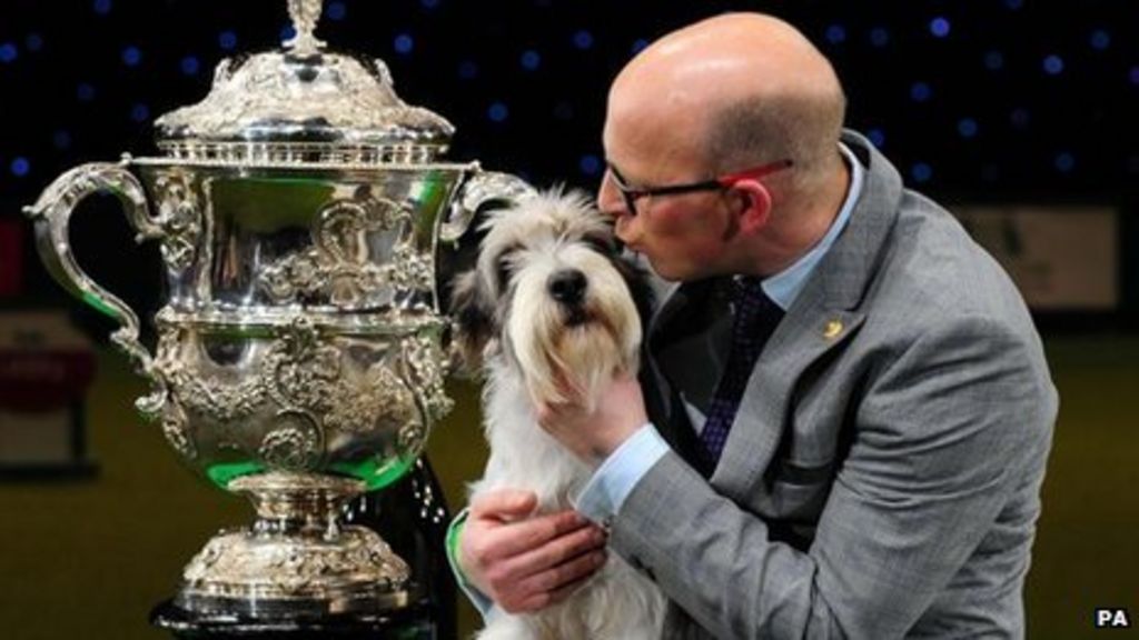 Jilly is crowned Crufts champion