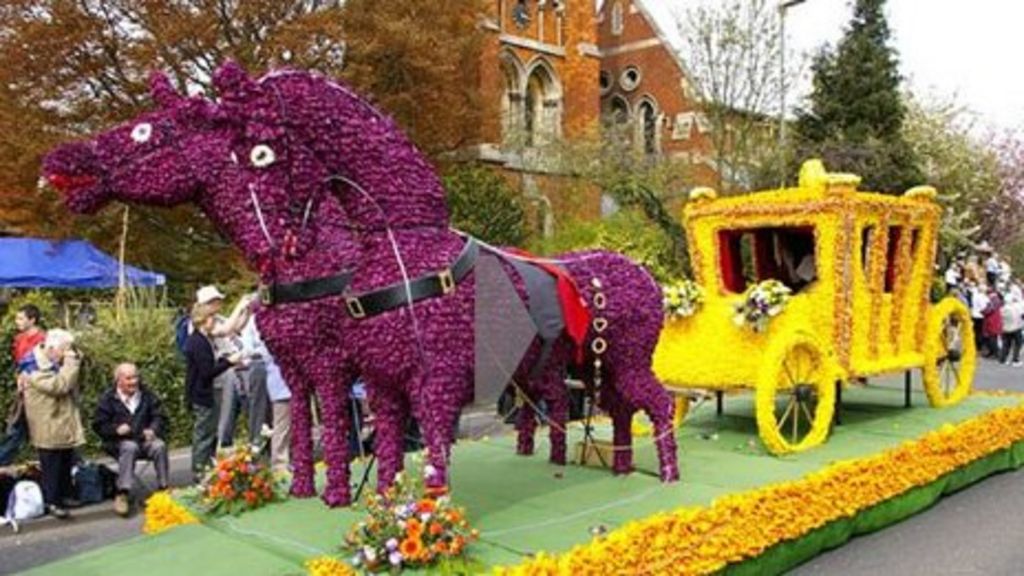 Spalding Flower Parade hit by tulip shortage BBC News