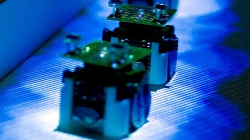 Robo-ants in action - BBC Newsround
