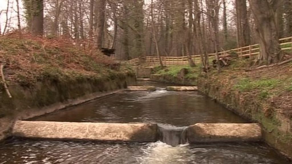 River Coquet 'escalator' to help save dying fish - BBC News