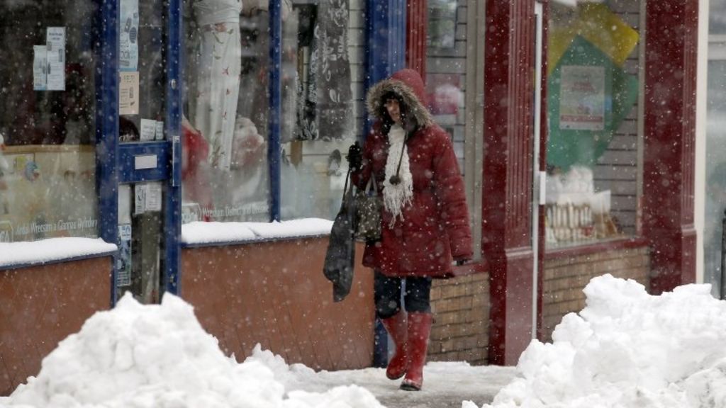 firms-count-damage-done-by-march-cold-weather-bbc-news