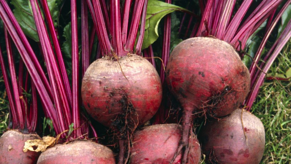 Beetroot 'can lower blood pressure' - BBC News