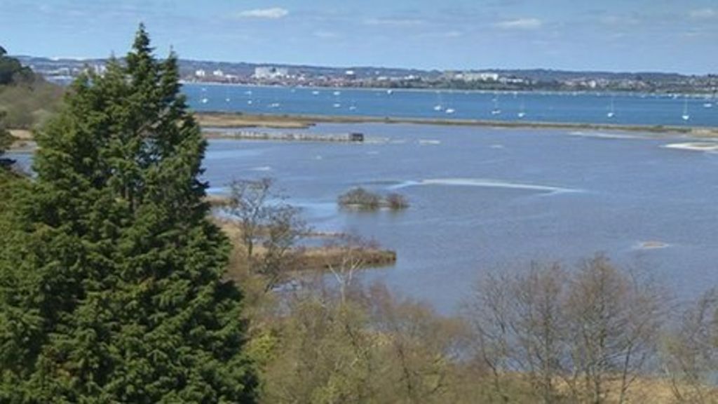 National Trust marks 50 years of Brownsea Island ownership BBC News