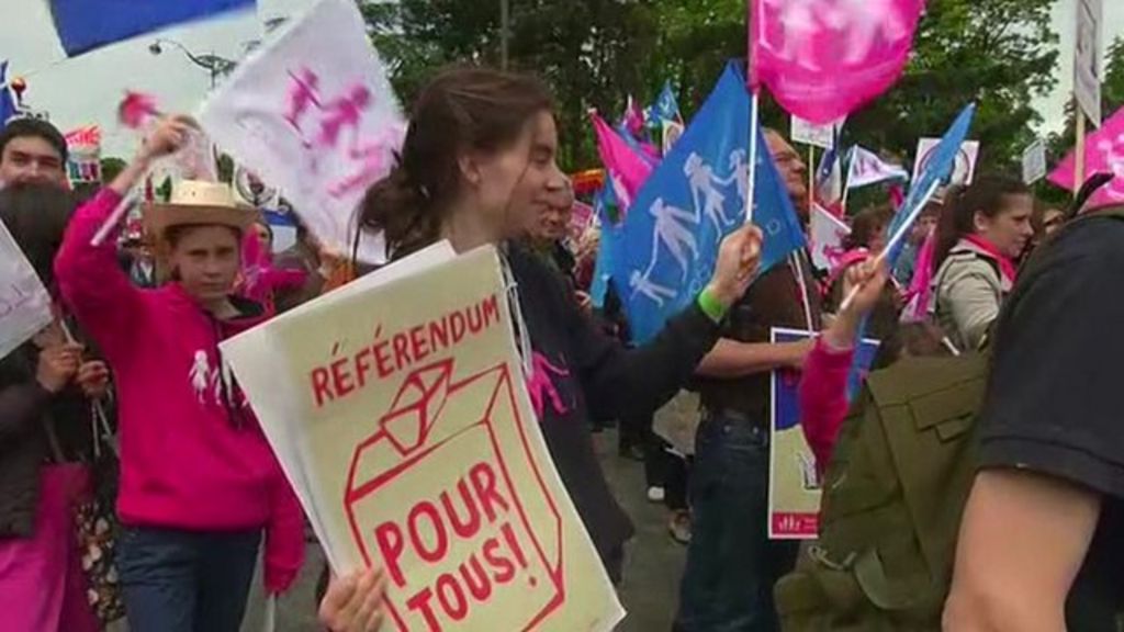 Gay Marriage Law Protesters March In Paris Bbc News