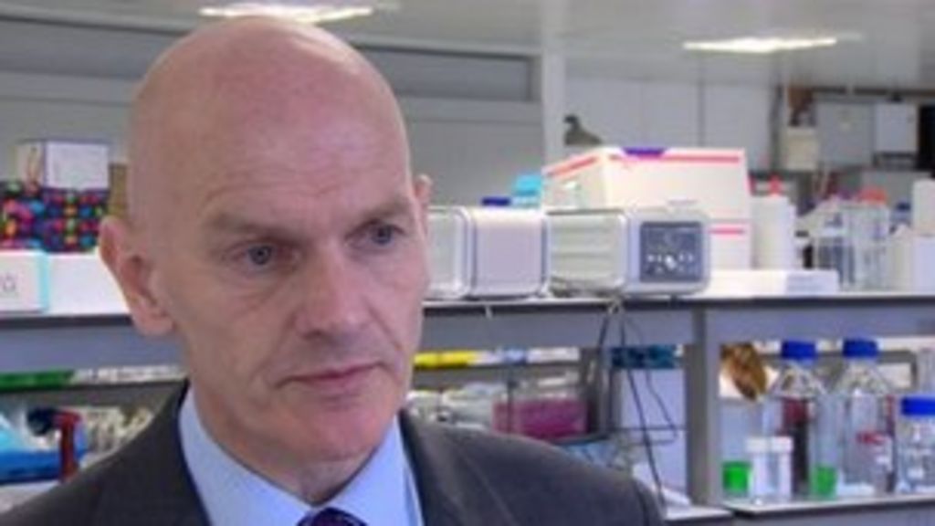 Professor Chris Elliott to lead UK horsemeat scandal review - BBC News