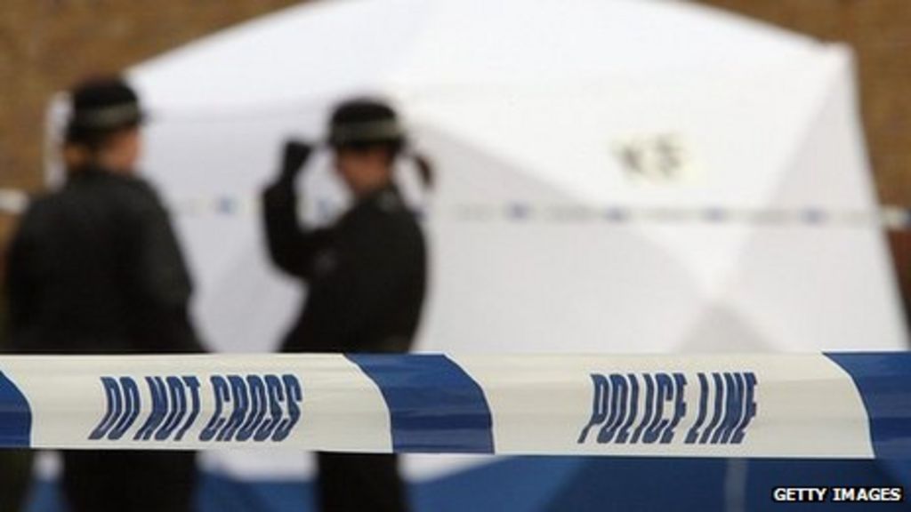 London's gangs A world of violent rivalry BBC News