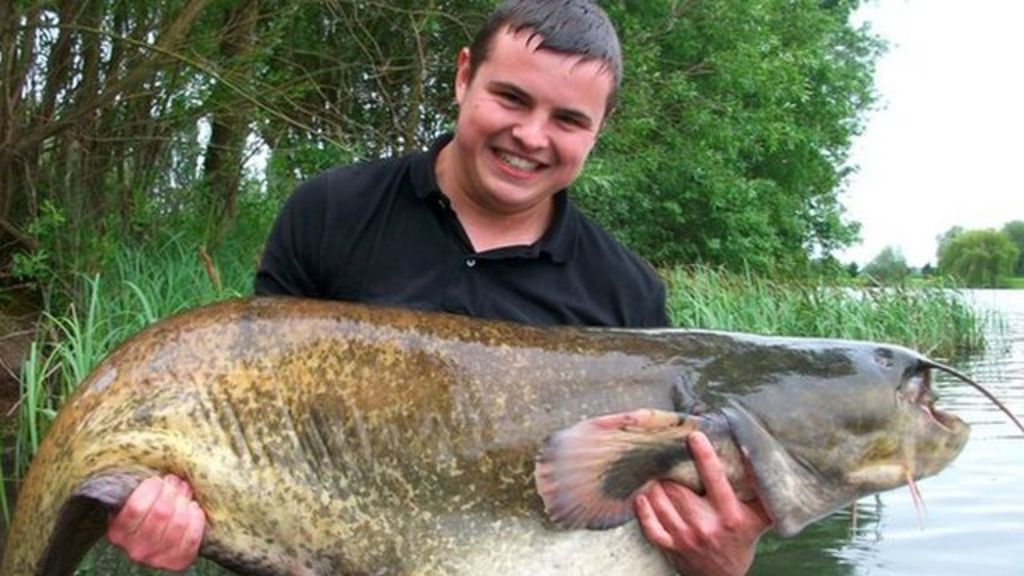 Bluebell Lakes angler lands huge catfish after twohour fight BBC News